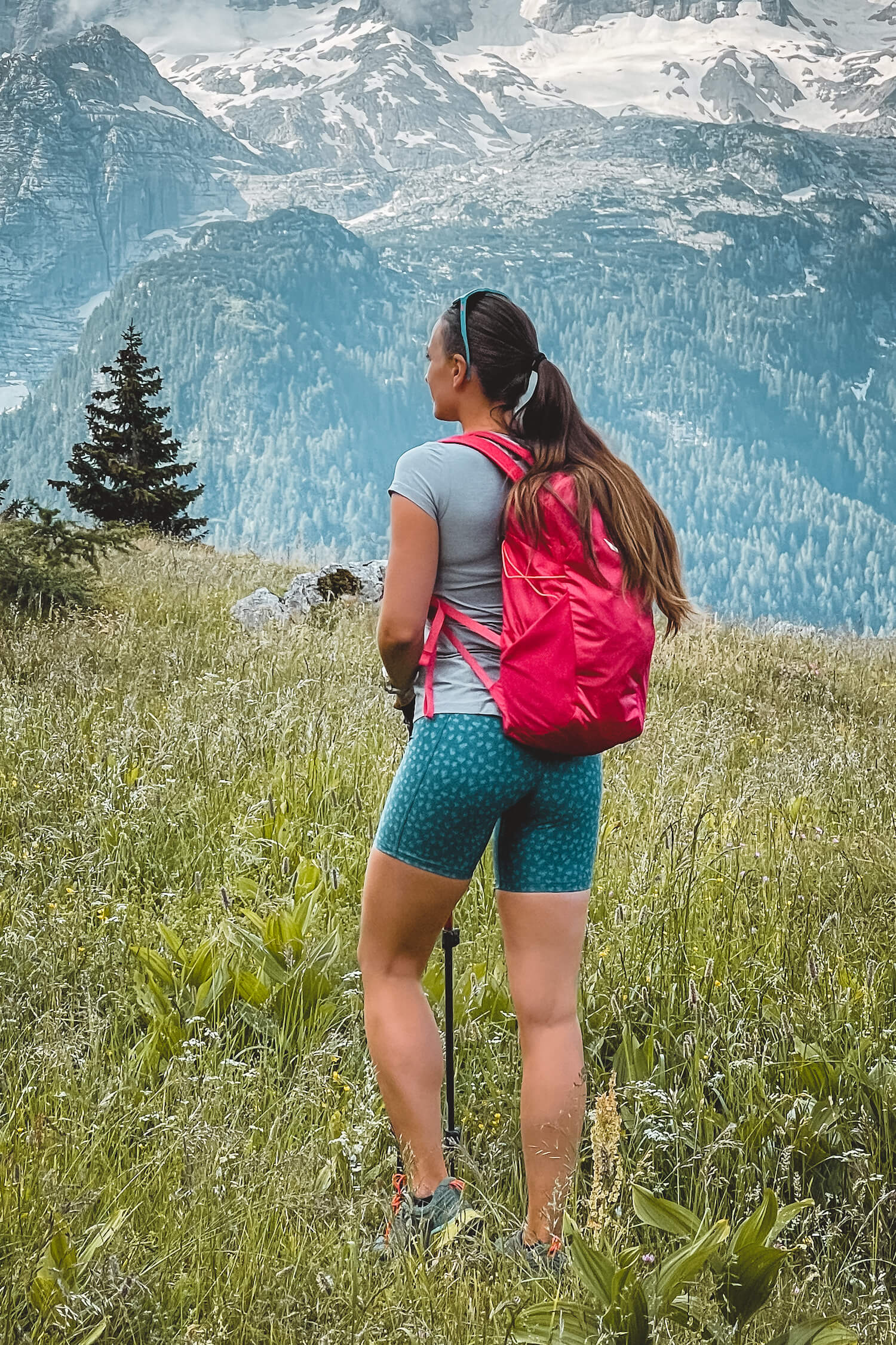 Evergreen Shorts - Image 3